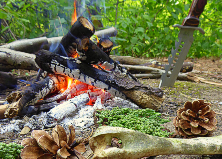 © Stage bushcraft de 3 jours_Feurs - Canva