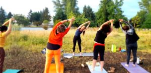 Cours de Yoga Vinyasa en plein air