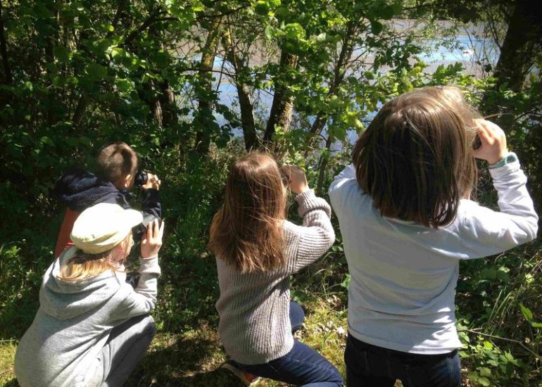 © Rallye nature sur les oiseaux - Les RDV de la Nature_Saint-Just Saint-Rambert - Département de la Loire