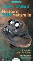 Histoire SURnaturelle - exposition