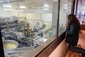 Société fromagère de Saint-Bonnet - Visite guidée