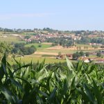 © Sentier entre Loire et Rhône_Chazelles-sur-Lyon - OT FOREZ-EST
