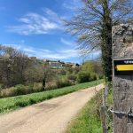 © Sentier entre Loire et Rhône_Chazelles-sur-Lyon - OT FOREZ-EST