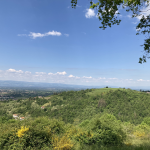 © Sentier botanique_Bellegarde-en-Forez - OT Forez-Est