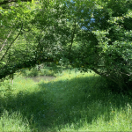 © Sentier botanique_Bellegarde-en-Forez - OT Forez-Est