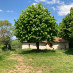 © Sentier du patrimoine_Bellegarde-en-Forez - OT Forez-Est