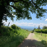 © Sentier du patrimoine_Bellegarde-en-Forez - OT Forez-Est
