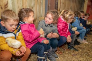Création d'un éventail & visite des petits animaux de la ferme