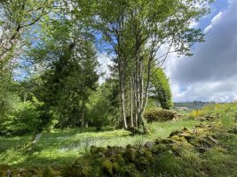 Site celtique de la Truche