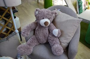 Quel doudou choisir ? - histoires à petits pas