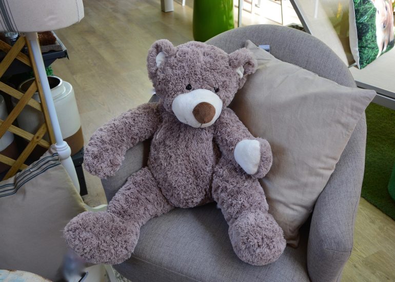© Quel doudou choisir ? - Histoire à petits pas_Saint-Just Saint-Rambert - Pixabay