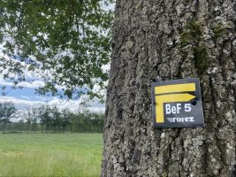 Sentier Les Caquignons