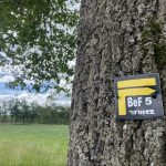 © Sentier Les Caquignons_Bellegarde-en-Forez - OT Forez-Est