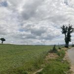 © Escapade Farlaude_Chazelles-sur-Lyon - OT FOREZ-EST