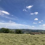 © Sentier piétonnier Chazelles-sur-Lyon / Saint-Symphorien-sur-Coise par Hurongues_Chazelles-sur-Lyon - OT FOREZ-EST
