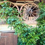 La Provende_Bard