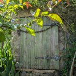 La Provende_Bard