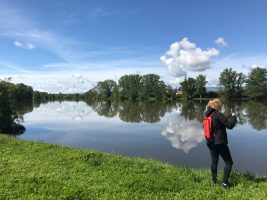 Visitez Feurs
