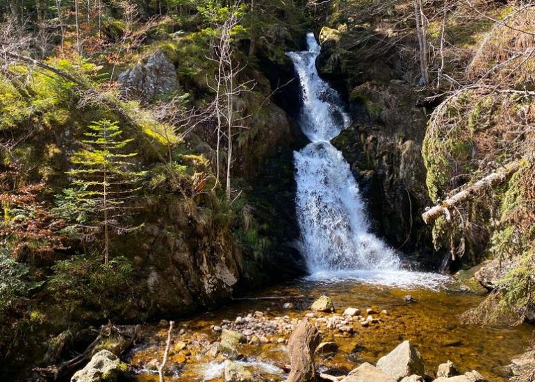 © La cascade de Chorsin_Sauvain - OTLF