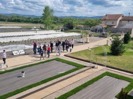 Fête de la Verveine