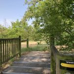 © Sentier L'Île_Feurs - OT FOREZ-EST