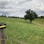 © Sentier du site Médiéval de Donzy_Feurs - OT FOREZ-EST