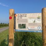 © Sentier du papillon_Marclopt - OT FOREZ-EST