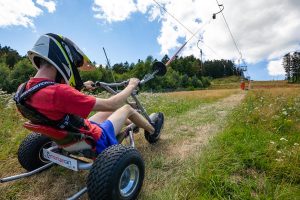 Mountain kart