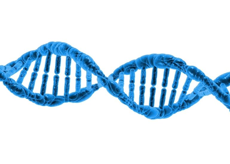 © Sciences et génétique - Conférence UPT_Usson-en-Forez - Pixabay