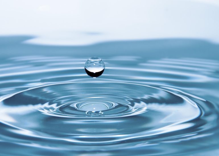 © L'importance de l'eau dans notre organisme  - Conférence UPT_Usson-en-Forez - Pixabay