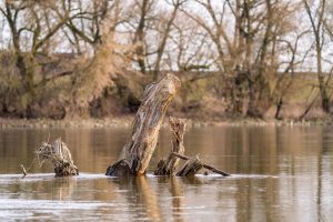 Notre fleuve Loire en héritage - Conférence UPT