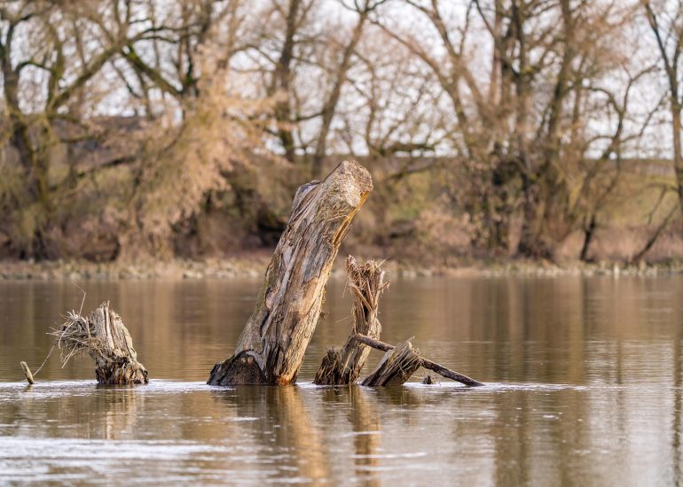 © Notre fleuve Loire en héritage - Conférence UPT_Usson-en-Forez - Pixabay