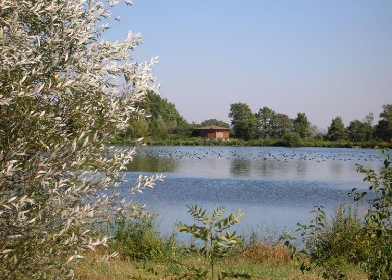 Maison des étangs du Forez / Réserve de Biterne_Arthun