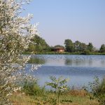Maison des étangs du Forez / Réserve de Biterne_Arthun