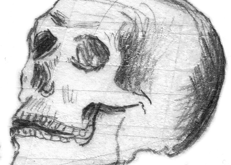 L'évolution de l'Homo-sapiens - Conférence UPT_Saint-Bonnet-le-Château