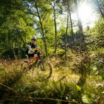 © N° 14 - Le débutant - Espace VTT-FFC Massif des Bois Noirs - White Lizard Studio