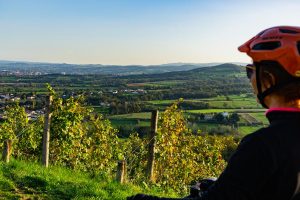 Rando' distillerie en VTT électrique