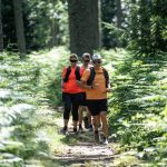 © Parcours trail 2 - Violay en grandeur, les bois de Violay_Violay - Julien GLINTZ