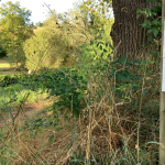 © N°17 Les rives de la Charpasonne_Panissières - OT FOREZ-EST