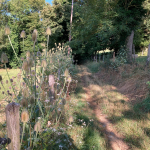 © N°17 Les rives de la Charpasonne_Panissières - OT FOREZ-EST