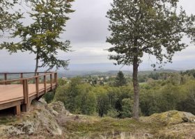Balade dans le "Bois des Gaulois" - Festival Baroque en Forez