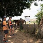 © Parcours trail 11 - Trail nord de Bellegarde : entre panoramas et fermes_Bellegarde-en-Forez - Julien GLINTZ