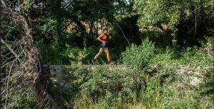 Parcours trail 13 - Trail des bords de Loire