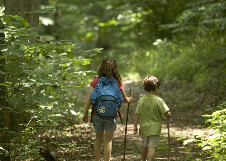 © Marche caritative pour MARFAN_Saint-Cyprien - Pixabay