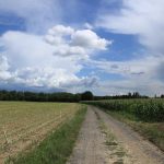 © Boucle d'Unias - sentier des Bords de Loire_Unias - OTLF