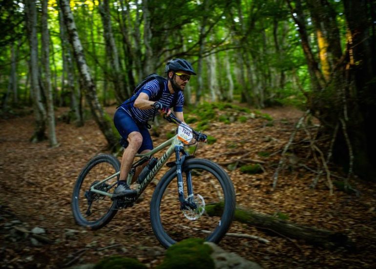 © N°76 - Les jonquilles - Circuit Enduro - Espace VTT-FFC Massif des Bois Noirs_Chalmazel - Jeansagnière - White Lizard Studio