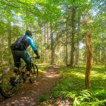 © N°77 - La couzanaise - Circuit Enduro - Espace VTT-FFC Massif des Bois Noirs_Chalmazel - Jeansagnière - Romain Gouttefangeas