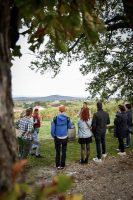 Vignobles en scène - les journées vignobles et découvertes en Loire Forez