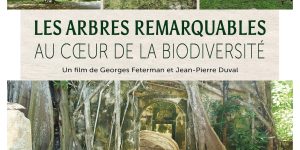 Les Arbres Remarquables - séance Festival d'Histoire