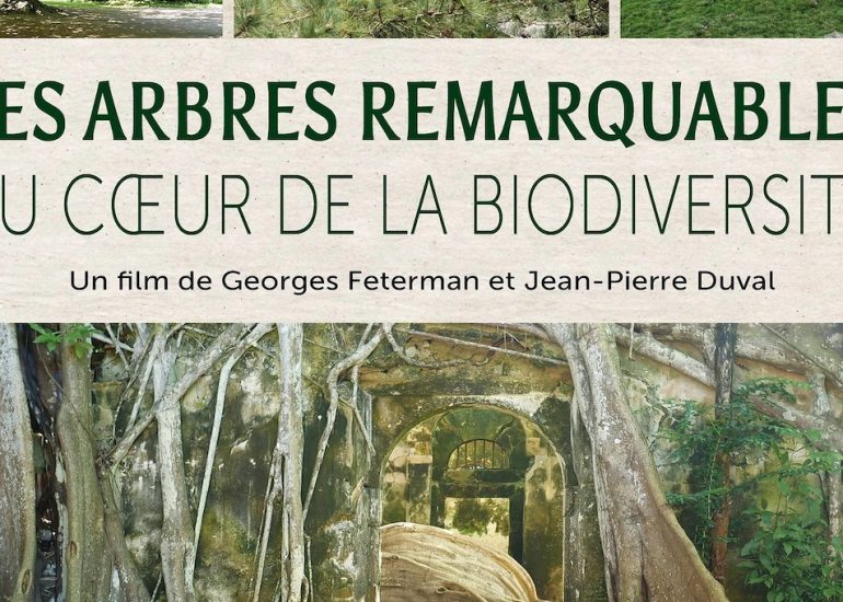 Les Arbres Remarquables - séance Festival d'Histoire_Usson-en-Forez